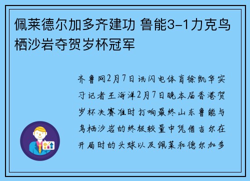 佩莱德尔加多齐建功 鲁能3-1力克鸟栖沙岩夺贺岁杯冠军